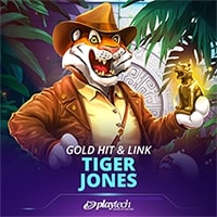 Gold Hit & Link Tiger Jones
